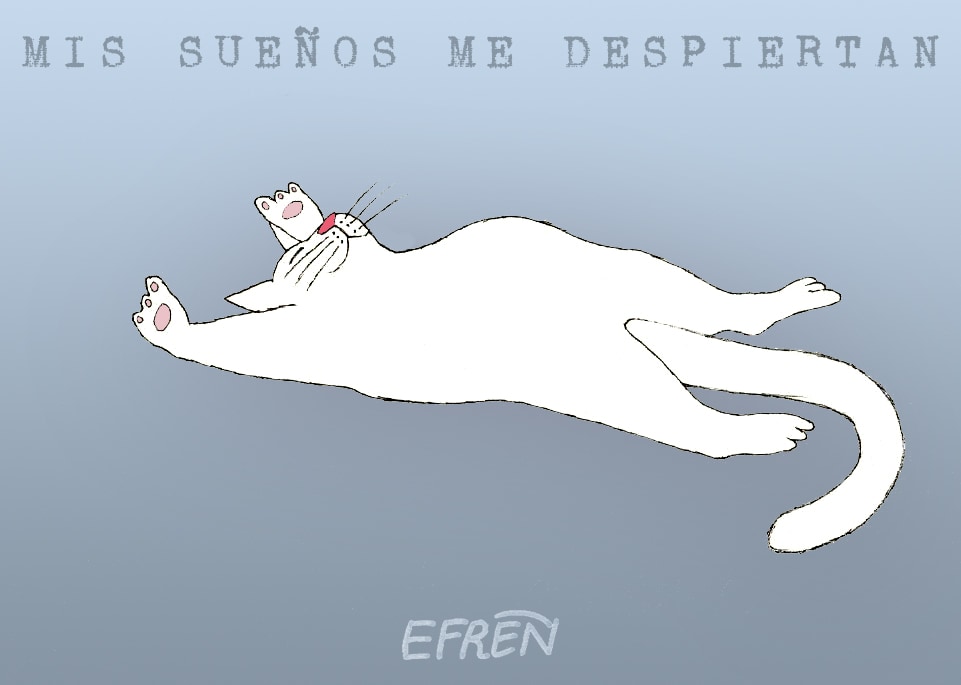 Obra de El Gato Culto de Efrén Maldonado